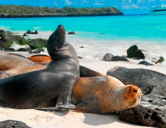 mejor epoca para ir a las galapagos