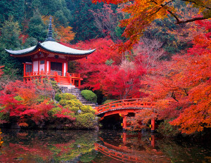 la mejor epoca para visitar japon