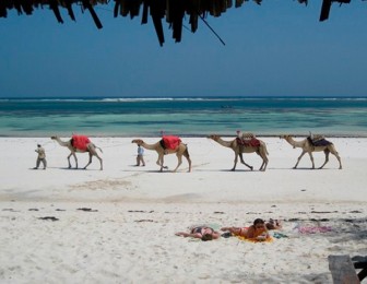 viajar a la playa en kenia