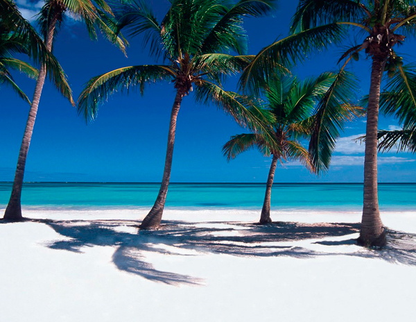 cajón Inflar histórico Cual es la mejor época para viajar a Punta Cana?
