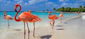 cual es la mejor epoca para viajar a aruba