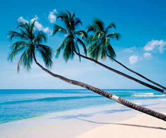 cuando viajar a barbados