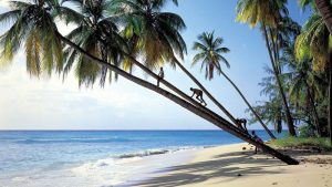cual es la mejor epoca para viajar a barbados