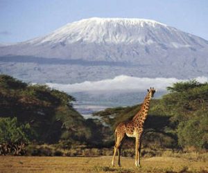 cuando viajar a tanzania