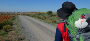 Cual es la mejor época para hacer el camino de Santiago