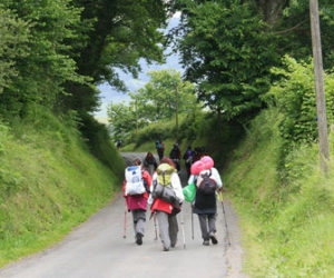 Hacer el camino de Santiago