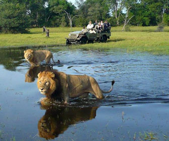 cuando viajar al delta del okavango