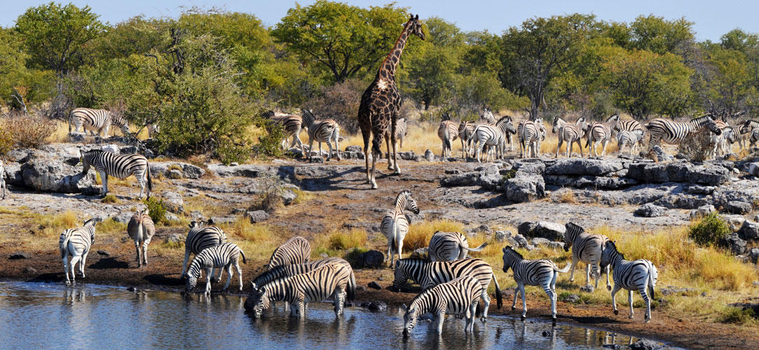 cual es la mejor epoca para viajar a namibia