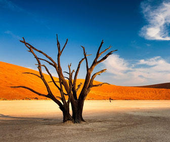mejor epoca para ir a namibia