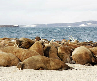 cuando ir a ushuaia