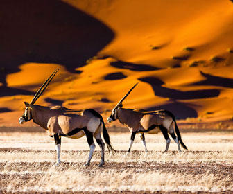 cuando viajar a namibia