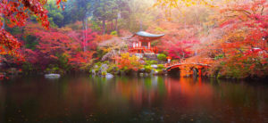 mejor epoca para ver Japon