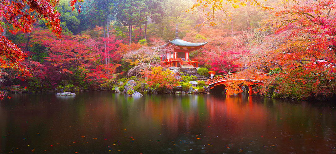 mejor epoca para ver Japon