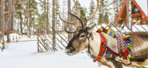 ¿Cual es la mejor epoca para viajar a Finlandia?
