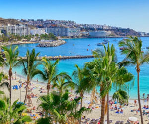 cuando viajar a las canarias