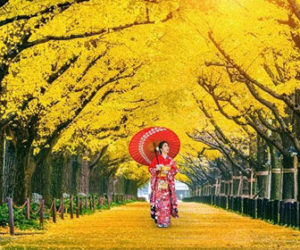 cuando viajar a tokio