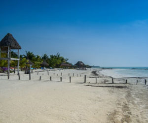cuando ir a holbox