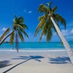 Es recomendable viajar a Punta Cana en enero