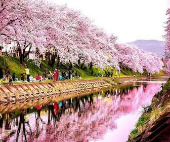 Es recomendable viajar a Japón en abril