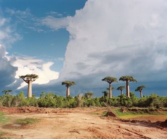 Es recomendable viajar a Madagascar en agosto