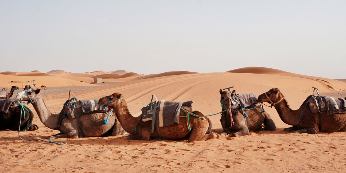 Mejor epoca para viajar al desierto de Marruecos